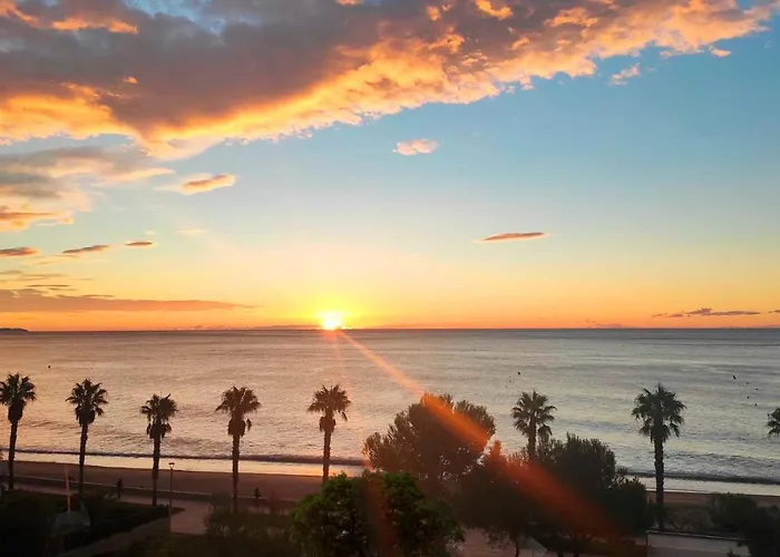 Sunrise Estudio Zebra, Con Vistas Jardin Y Mar